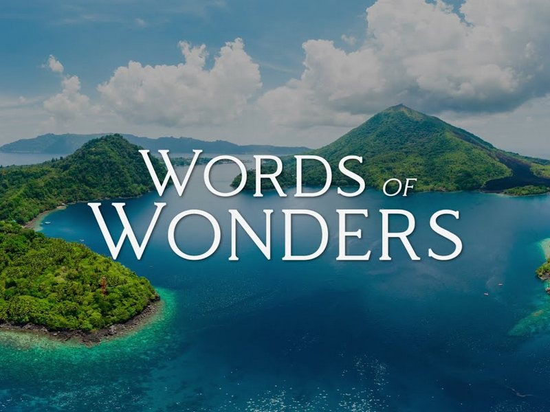 Words of Wonders games